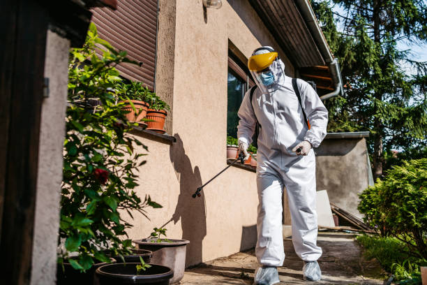 Best Wasp Removal Services  in Lake Magdalene, FL